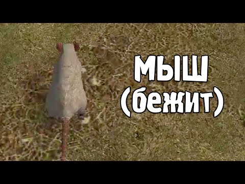 Видео: Ловлю мышей - STALKER ОП 2.2 #0034