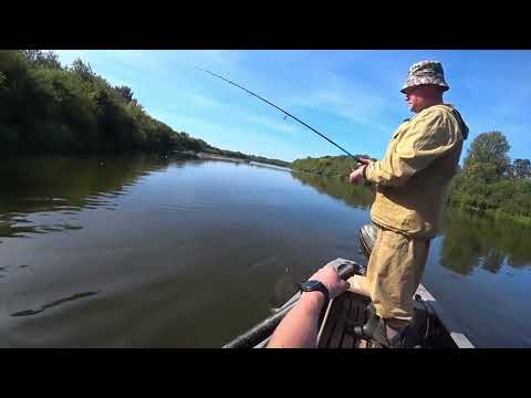 Видео: Рыбалка! Чепца 2024.