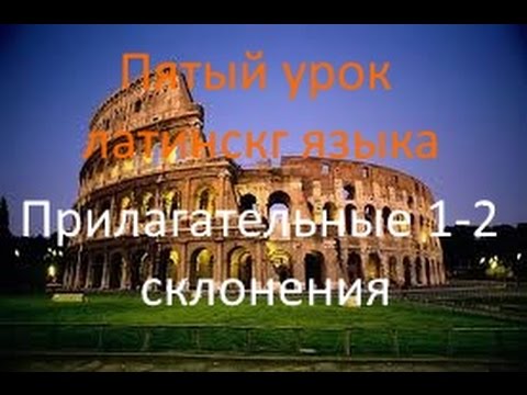 Видео: Пятый урок латинского. Прилагательные 1-2 склонений.avi