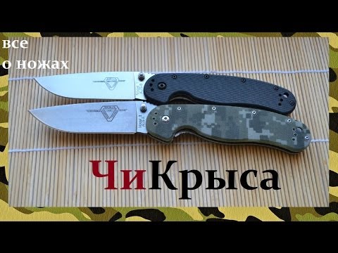 Видео: Обзор китайской крысы