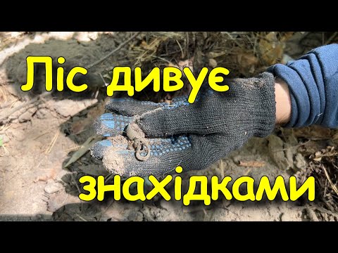 Видео: Шукали динарики, а знайшли Сарматів. Коп монет 2025