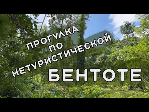 Видео: Прогулка по нетуристической Бентоте. Храмы, магазин сувениров, в гостях у местного, летучие мыши.