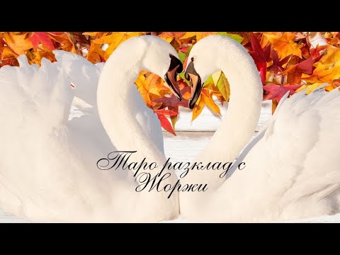 Видео: 🧸Следващата среща ще е ключова за нас... 💙