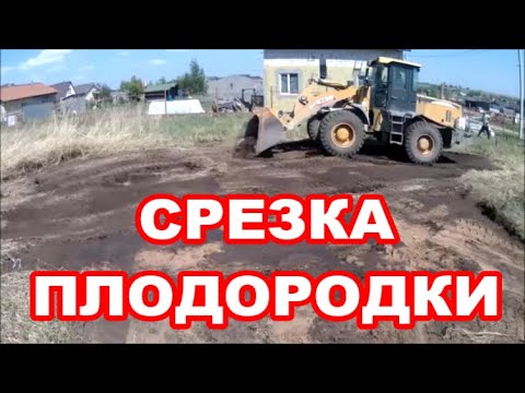 Видео: СРЕЗКА ДЕРНА ФРОНТАЛЬНИКОМ