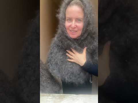 Видео: 9 ноября 2025 г.