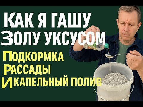 Видео: Раскрой потенциал золы: как я гашу её уксусом и подкармливаю огород!