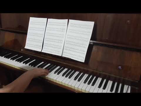 Видео: Самоучитель игры на ф-но:Дунайские волны .Полная версия..