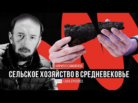 Видео: Археологический парадокс изучения сельского хозяйства