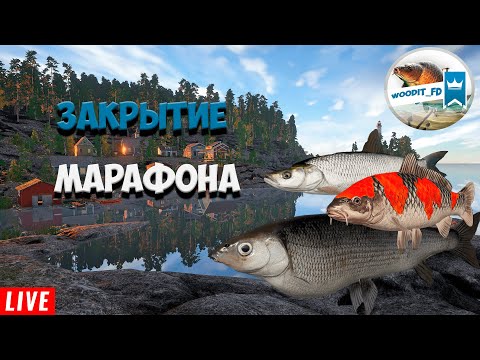 Видео: 🐟ЗАКРЫТИЕ МАРАФОНА🐟РУЛЕТКА🐟РР4