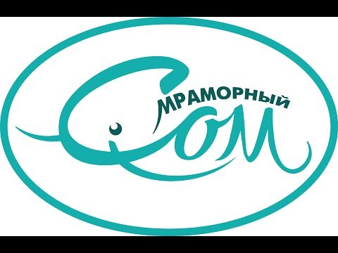 Видео: УЗВ полного цикла африканский сом / Clarias gariepinus RAS fish farm