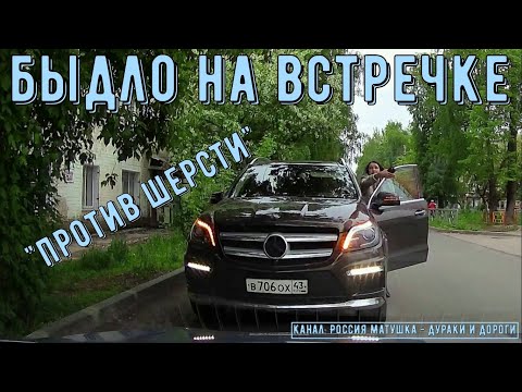 Видео: Быдло на встречке #156! Подборка на видеорегистратор!