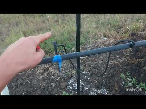 Видео: Важное при проектировании орошения орехового сада! Смотреть до конца!