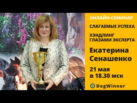 Видео: Онлайн-семинар "Хэндлер - самый первый и самый строгий судья собаки" от Екатерины Сенашенко