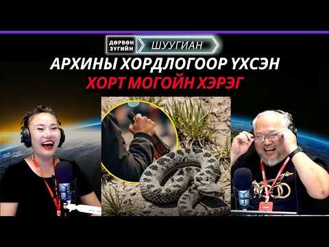 Видео: Дөрвөн зүгийн шуугиан | 2025-10-21 | Архины хордлогоор үхсэн хорт могойн хэрэг