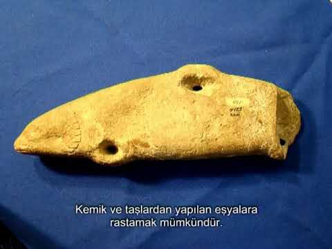 Видео: БКМА Д Сарыгулов  Кыргыз тарыхы  1 болук