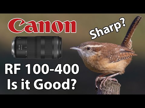 Видео: Фотосъёмка птиц на Canon RF 100-400 с помощью EOS R7: хорош ли RF 100-400? Резкий ли RF 100-400?