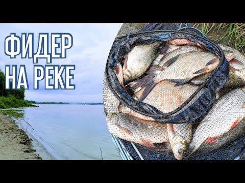 Видео: Рыбалка 2022. Ловля леща и язя. Фидер на реке.