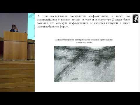 Видео: Вихлянцев И. М. Биологическая подвижность – вчера, сегодня, завтра