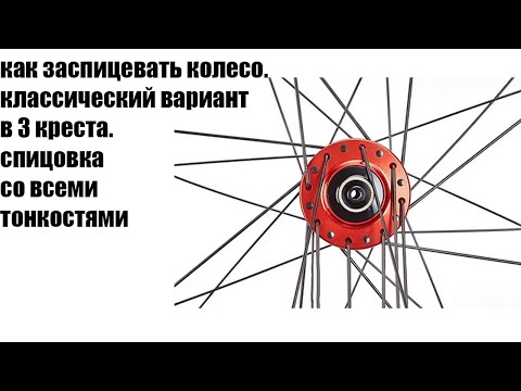 Видео: как заспицевать колесо велосипеда