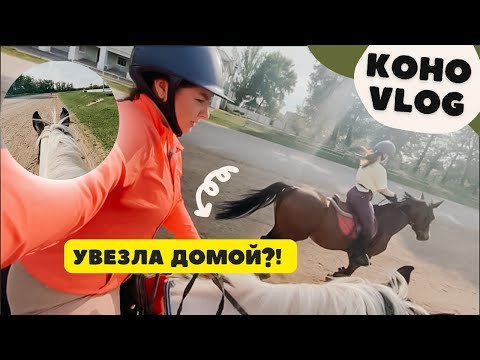 Видео: VLOG из ипподрома от ПЕРВОГО ЛИЦА | ЛОШАДЬ УВЕЗЛА ДОМОЙ?! | верховая езда на Тамбовском ипподроме |