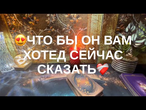 Видео: 11 ноября 2025 г.