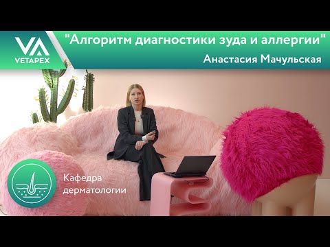Видео: Кафедра Дерматологии "Алгоритм диагностики зуда и аллергии"