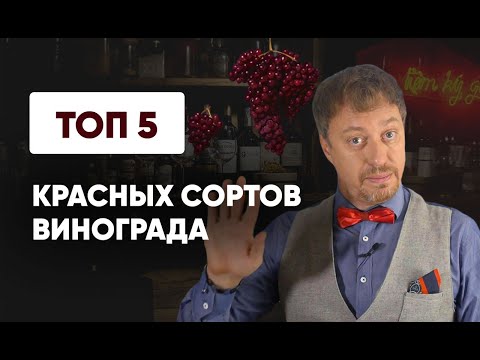 Видео: Топ-5 [КРАСНЫХ СОРТОВ ВИНОГРАДА]