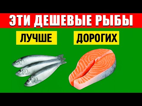 Видео: Самая полезная рыба — не лосось! Эти 5 бюджетных рыб улучшат ваши суставы и сердце !