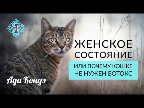 Видео: ЖЕНСКОЕ СОСТОЯНИЕ ИЛИ ПОЧЕМУ КОШКЕ НЕ НУЖЕН БОТОКС.  Ада Кондэ