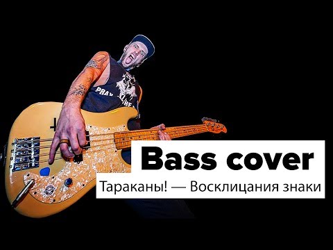 Видео: Тараканы! - Восклицания знаки (bass cover)