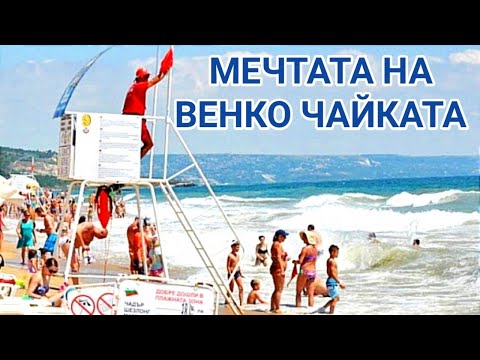 Видео: ВЕНКО ЧАЙКАТА - СПАСИТЕЛ НА ПЛАЖА И НЕГОВАТА МЕЧТА ЗА ОХОЛЕН ЖИВОТ...