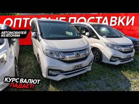 Видео: НАРОДНЫЕ АВТОМОБИЛИ ИЗ ЯПОНИИ🔥БОЛЬШОЕ ПРИБЫТИЕ АВТОМОБИЛЕЙ😱ЦЕНЫ ОТ 700 ТЫСЯЧ РУБЛЕЙ⁉️