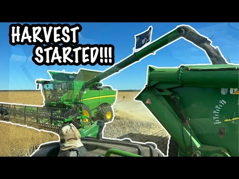 Видео: Начинаем сбор урожая! | Урожай 2025 | Западная Австралия