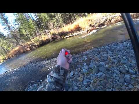 Видео: Эта Река Забита Хариусом/ Каждый Заброс Поклёвка/ Осенняя Рыбалка в Глухой Тайге!!!