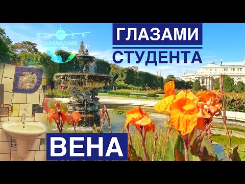 Видео: Что посмотреть в Вене | Австрия ГЛАЗАМИ МЕСТНЫХ Localie | #Авиамания