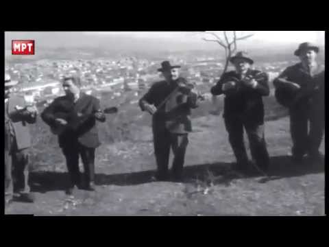 Видео: РАДОВИШ И РАДОВИШАНИ ....