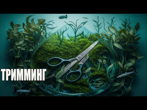 Видео: Тримминг.Последствия стрижки аквариумных растений