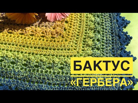 Видео: Бактус «Гербера»