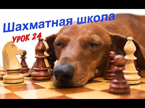 Видео: Урок 24. Разноцветные слоны в миттельшпиле