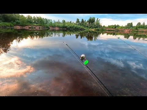 Видео: УЕХАЛ В КРАСИВОЕ МЕСТО ЗА СУДАКОМ! РЫБАЛКА НА ДОНКИ НА НАРЕЗКУ