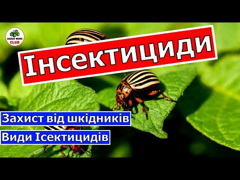 Видео: Що таке Інсектициди? Для чого потрібен Інсектицид? Захист рослин від шкідників.