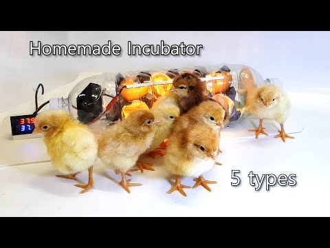 Видео: 5 идей для создания инкубатора.