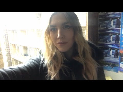 Видео: Голуби Гапонова Юрия, 0953680406! 04.03.2019г.