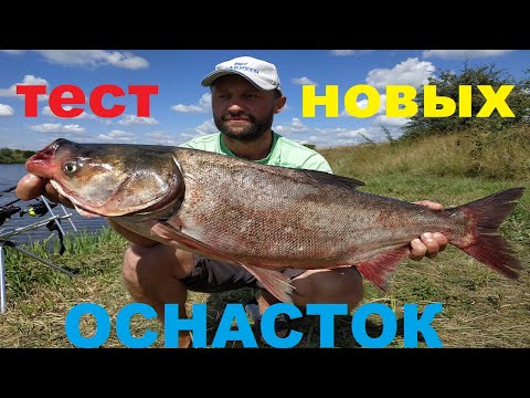 Видео: ТЕСТИРУЕМ НОВЫЕ ОСНАСТКИ НА ТОЛСТОЛОБА! ловля толстолоба! рыбалка на толстолобика