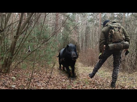 Видео: Чуть не стал кормом для дикого кабана | Деревянная посуда | бушкрафт | bushcraft.