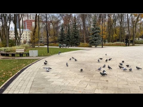 Видео: ВЛОГ/НЕ ЗНАЮ ЧТО СО МНОЙ/НОВЫЙ ПАРФЮМ/29.10.2025 г