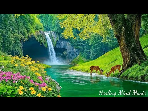 Видео: Красивая расслабляющая музыка 🌿 Снятие стресса, музыка для глубокого сна