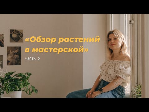 Видео: Обзор растений в мастерской. Часть 2