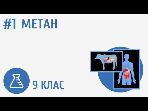 Видео: Метан #1