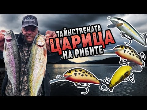 Видео: Тайнствената царица на рибите / Пъстърви на тролинг Доспат - II част